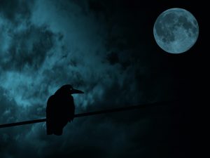 crow silhouette with moon